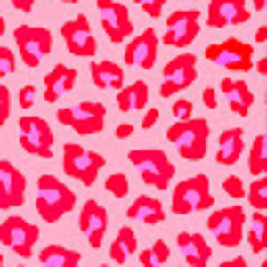 Meet your Posher, Ilana